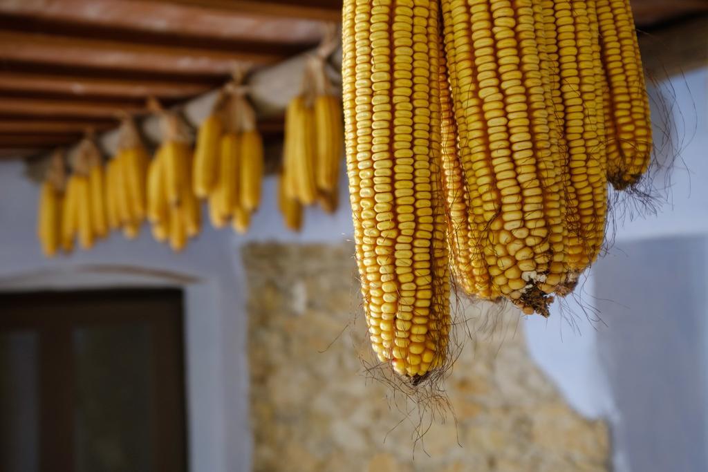 Can Barnosell - Els Masos D'En Coll Llavia Bagian luar foto